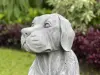  Product image 3 of the product “Henry - Dog, seated 65cm H | cast stone ”